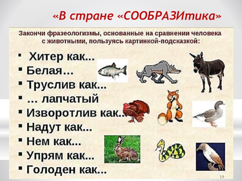 Конспект урока животные 2 класс. Обобщающий урок по теме животные. Тема про животных. Фразеологизмы с дикими животными. Урок обобщение по теме животные 5 класс.