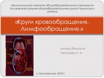 Презентация по биологии для 8 класса на тему Круги кровообращения
