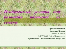 Презентация к проекту Необходимые условия для развития растений