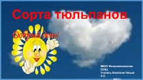 Презентация по биологии на тему Селекция растений Сорта тюльпанов. 9 класс.