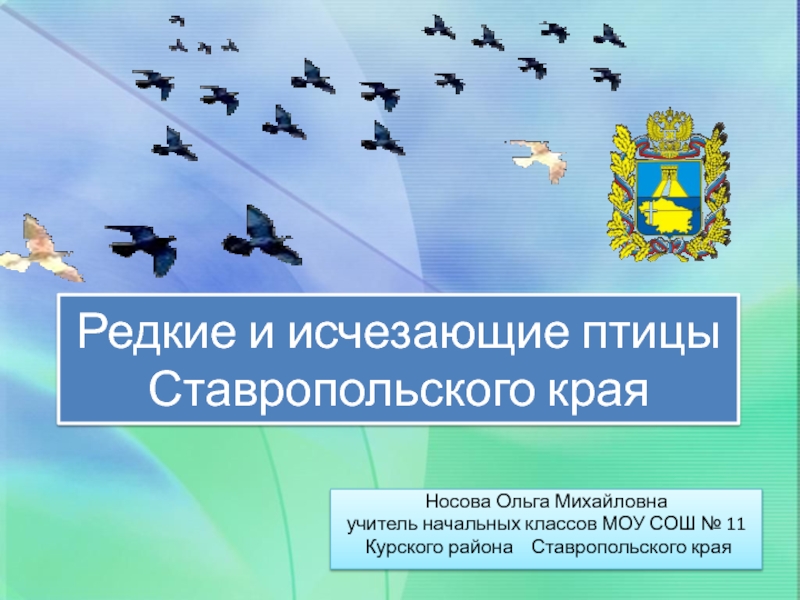 Презентация Презентация по теме Редкие и исчезающие птицы Ставропольского края