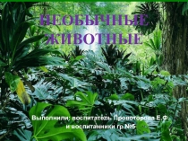 ПРЕЗЕНТАЦИЯ НА ТЕМУ: Необычные животные