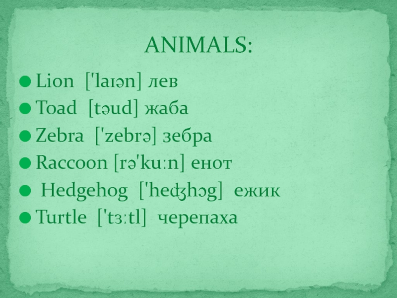 Lion ['laɪən] левToad [təud] жабаZebra ['zebrə] зебраRaccoon [rə'kuːn] енот Hedgehog ['heʤhɔg] ежикTurtle ['tɜːtl] черепахаANIMALS: