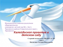 Презентация Проектная деятельность в ДОУ