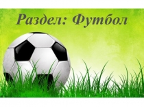 Презентация по физической культуре на тему Футбол