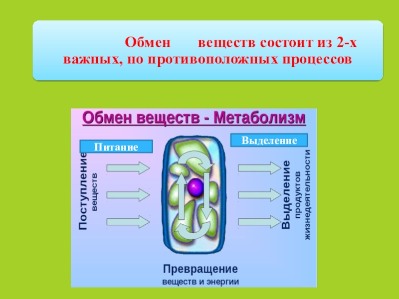 Из каких веществ состоит стол