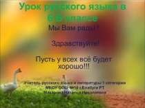 Презентация обобщение по теме Имя существительное