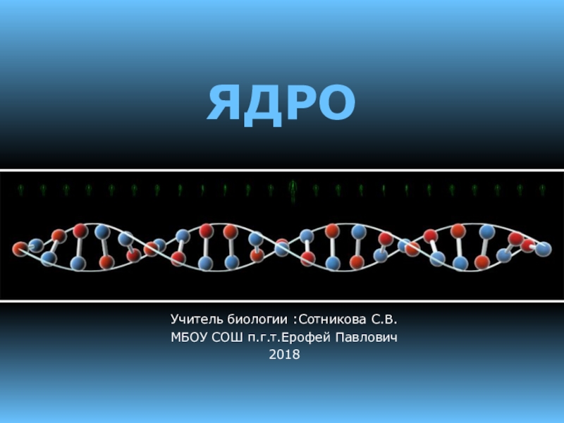 Ген и геном. Двойная спираль ДНК. Ген это в биологии. Геном это в молекулярной биологии. Ген биология 9 класс