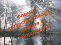 Презентация по теме Формы естественного отбора