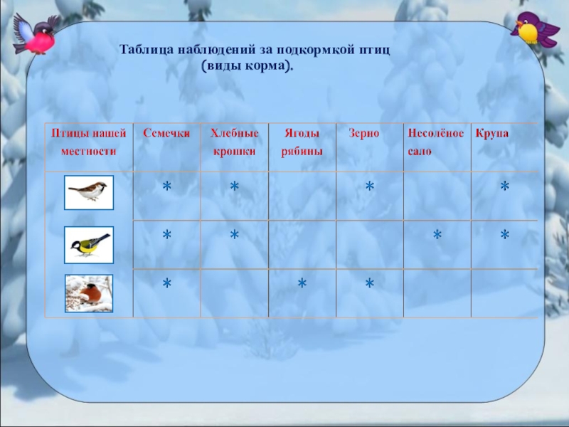 Наблюдение за птицами рисунок