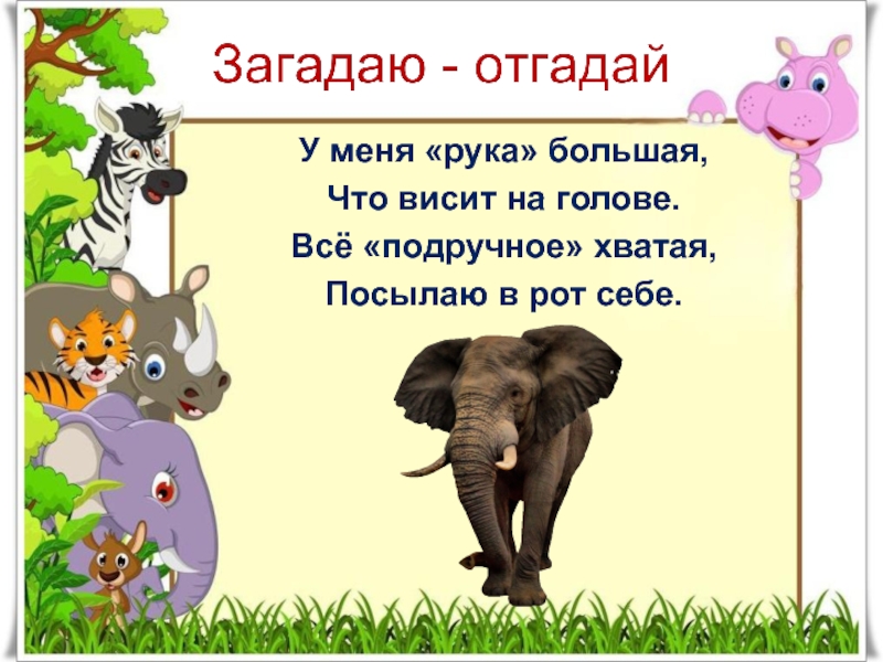 Прослушивание стихотворения. Конспект урока по речевой практике в зоопарке у зверей. Скороговорка в зоопарке у зверей. В зоопарке у зверей речевая практика задание.