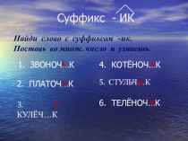 Презентация Тест по русскому языку. Суффиксы - ИК, -ЕК