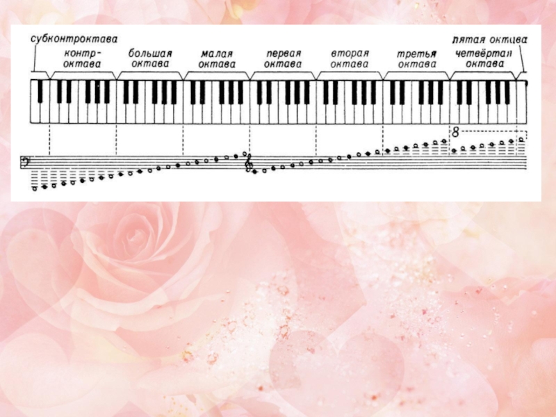 Ноты малой октавы. Басовый ключ расположение нот на фортепиано. Малая Октава большая Октава контроктава субконтроктава. Басовый ключ Ноты на фортепиано. Ноты большой октавы в басовом Ключе.