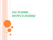 Презентация по биологии по теме  Разнообразие Покрытосеменных растений