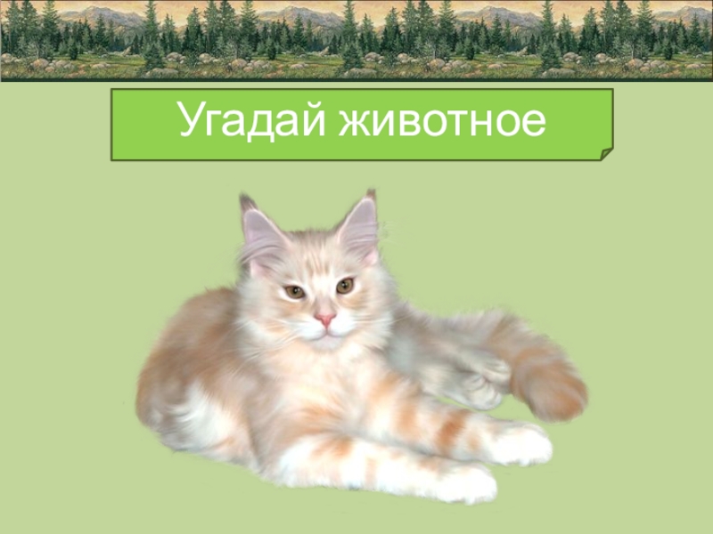 Класс угадала. Угадай животных. Отгадай животного первый класс. Игра Угадай домашнее животное. Угадай животное 1 класс.