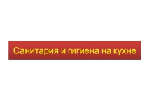 Презентация по технологии на тему Санитария и гигиена на кухне (5 класс)