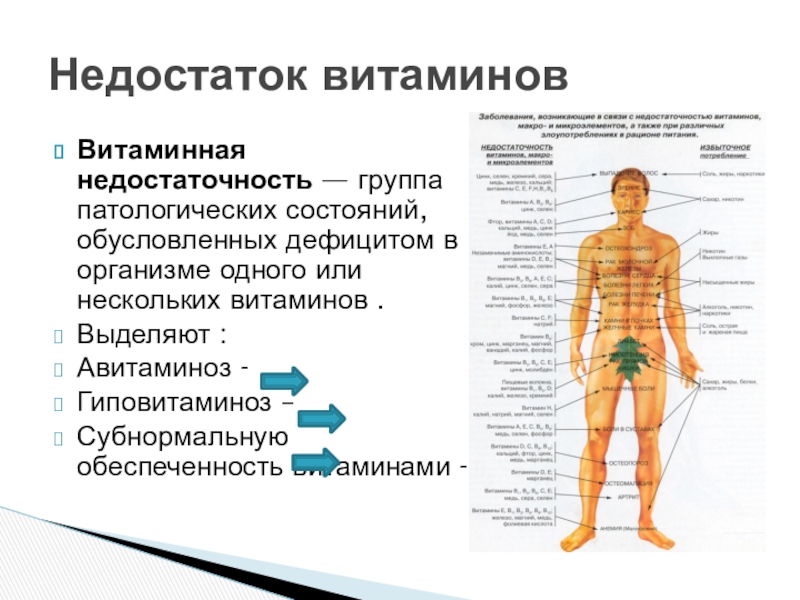 Реферат Витамины В Питании И Профилактика Витаминной Недостаточности