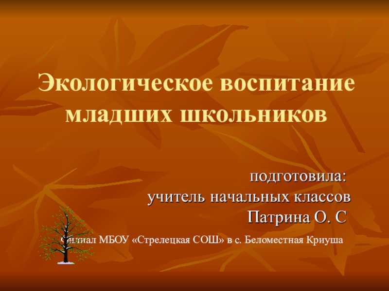 Экологическое воспитание младших школьников презентация