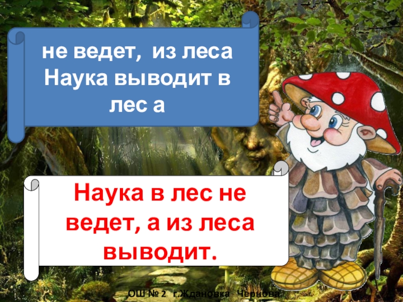 Вывел леса. Наука в лес не ведет. Наука из леса выводит. Наука в лес не ведет а из лесу выводит. Наука в лес не ведет а из лесу выводит смысл пословицы.