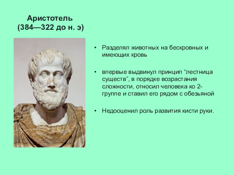 Эволюционные взгляды аристотеля. Аристотель. Аристотель эволюционное учение. Теория Аристотеля. Аристотель теория эволюции.