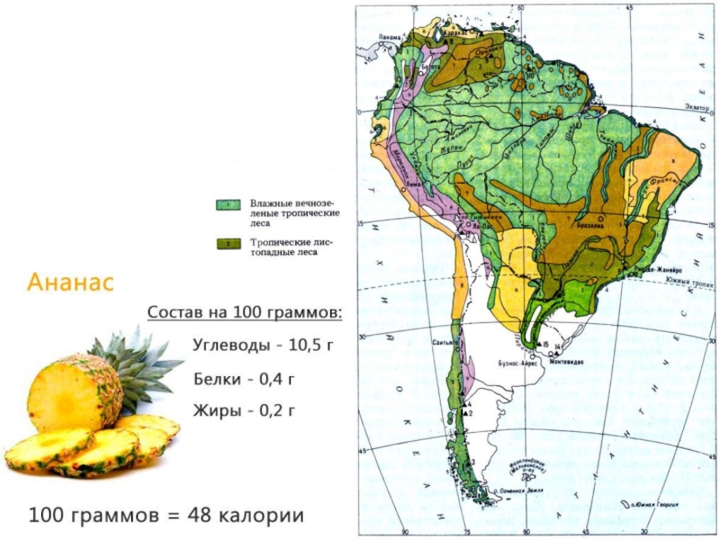 Природные зоны латинской америки карта