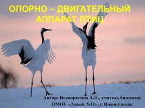 Местообитание и внешнее строение тела птиц