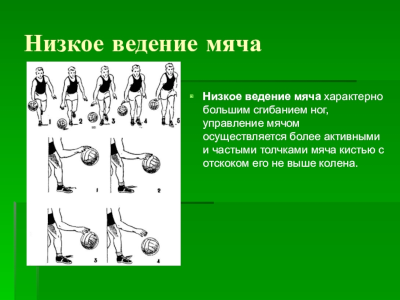 Техника мяча. Техника ведения и передачи мяча в баскетболе техника ведения мяча. Введения мяча снизу в баскетболе. Баскетбол введние мяч техника. Положение игрока при ведении мяча в баскетболе.