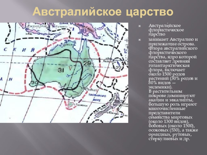 Австралийское царство презентация