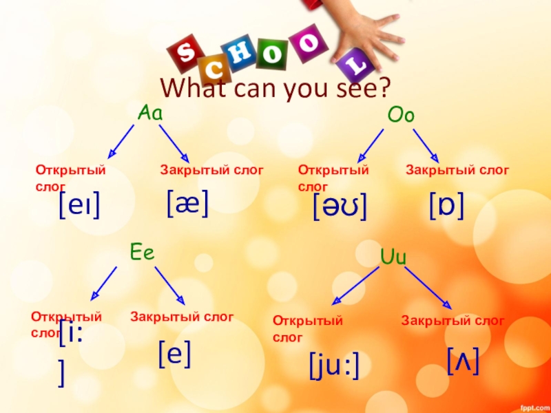 Rainbow english 2 класс презентация step 54