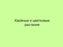 Презентация по окружающему миру Хвойные и цветковые растения  (2 класс)