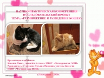 Презентация по биологии Размножение и разведение кошек