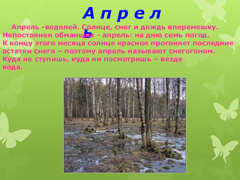 Презентация по окружающему миру 1 класс апрель водолей школа 21 века