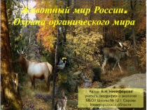 Презентация по географии Животный мир России (8 класс)