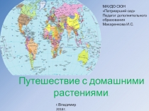 Презентация по программе Волшебный мир цветов(5-6 класс)