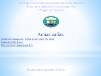 Открытый урок на тему: Тізбек бөлігіне арналған Ом заңы (10 класс)