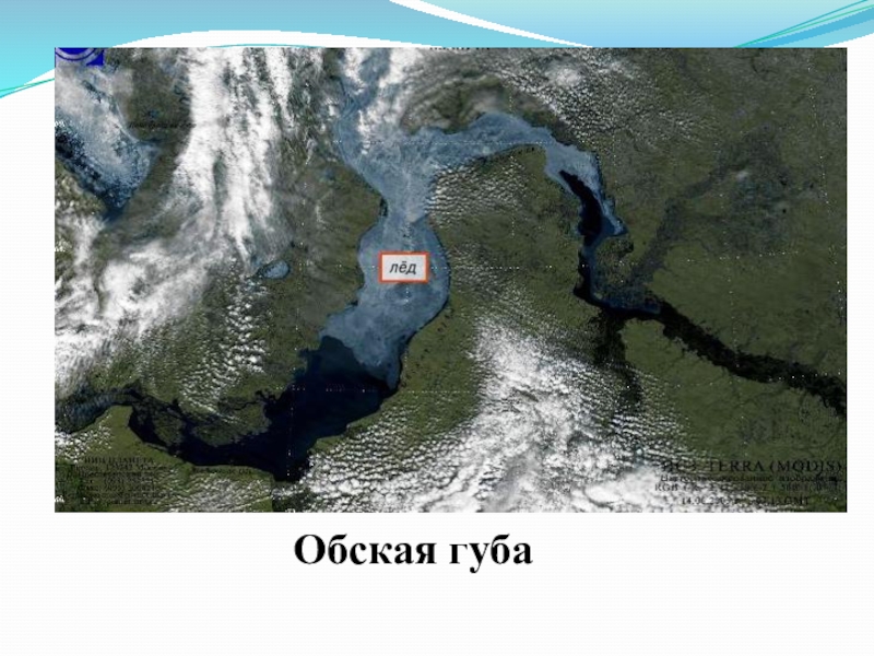 Ледовая обстановка в обской губе. Река Обь Обская губа. Мыс Трехбугорный Обская губа. Карта Обской губы и Карского моря. Карское море Обская губа.