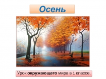 ПРЕЗЕНТАЦИЯ К УРОКУ ОКРУЖАЮЩЕГО МИРА НА ТЕМУ оСЕНЬ.оСНОВНЫЕ ПРИЗНАКИ ОСЕНИ