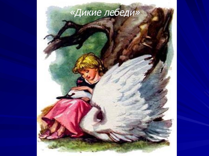 Презентация дикие лебеди. Сказка Дикие лебеди презентация. Андерсен Дикие лебеди сестрица. Г Х Андерсен,Дикие лебеди,Оле Лукойе,. Х К Андерсен Дикие лебеди 2 класс.