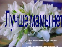 Внеклассное мероприятие Лучше мамы нет!