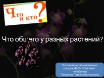 Презентация (окружающий мир) Что общего у разных растений? 1 класс (УМК Школа России)