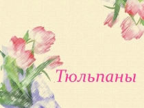 Презентация по биологии на тему  Тюльпаны