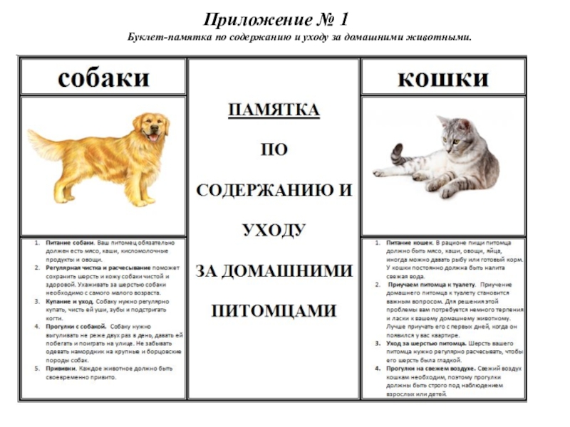 Приложение № 1  Буклет-памятка по содержанию и уходу за домашними животными.