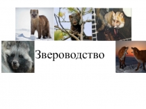 Презентация к уроку биологии на тему звероводство (8 класс)