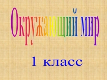 Презентация к уроку окружающего мира Как устроены растения 1 класс