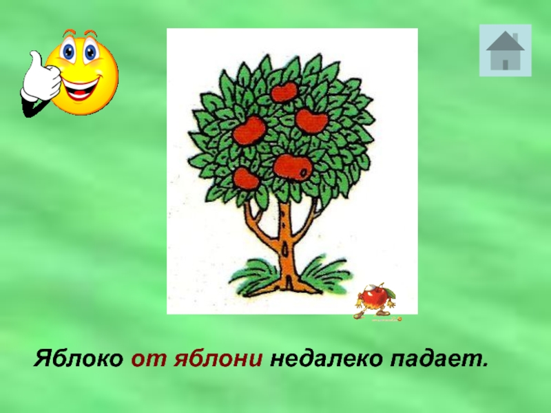 Мимо яблоньки. Яблоко от яблони недалеко падает. Яблоко от яблоньки недалеко падает. Пословица яблоко от яблони недалеко падает. Поговорка яблоко от яблони недалеко падает.