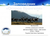 Презентация Заповедник остров Врангеля