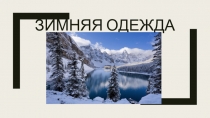 Зимняя одежда