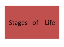 Презентация Stages of life