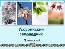 Презентация по окружающему миру на тему Уссурийский заповедник