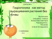 Проект Гидропоника- как метод выращивания растений без почвы